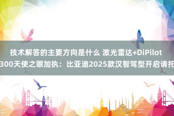 技术解答的主要方向是什么 激光雷达+DiPilot 300天使之眼加执：比亚迪2025款汉智驾型开启请托