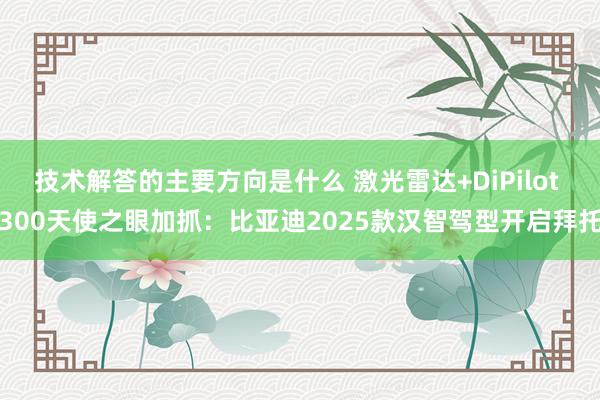 技术解答的主要方向是什么 激光雷达+DiPilot 300天使之眼加抓：比亚迪2025款汉智驾型开启拜托