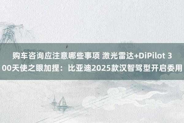 购车咨询应注意哪些事项 激光雷达+DiPilot 300天使之眼加捏：比亚迪2025款汉智驾型开启委用