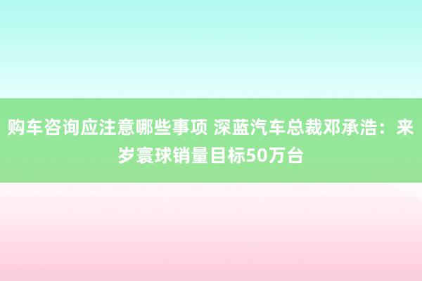 购车咨询应注意哪些事项 深蓝汽车总裁邓承浩：来岁寰球销量目标50万台