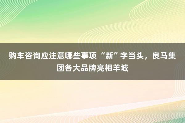 购车咨询应注意哪些事项 “新”字当头，良马集团各大品牌亮相羊城