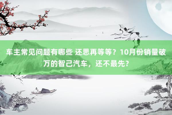 车主常见问题有哪些 还思再等等？10月份销量破万的智己汽车，还不最先？