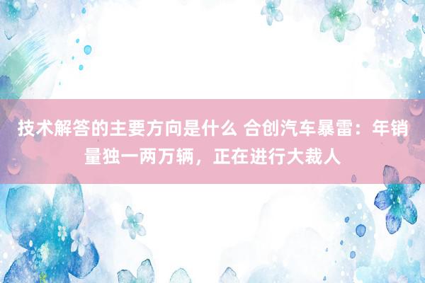 技术解答的主要方向是什么 合创汽车暴雷：年销量独一两万辆，正在进行大裁人