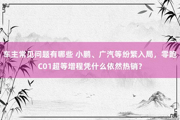 车主常见问题有哪些 小鹏、广汽等纷繁入局，零跑C01超等增程凭什么依然热销？