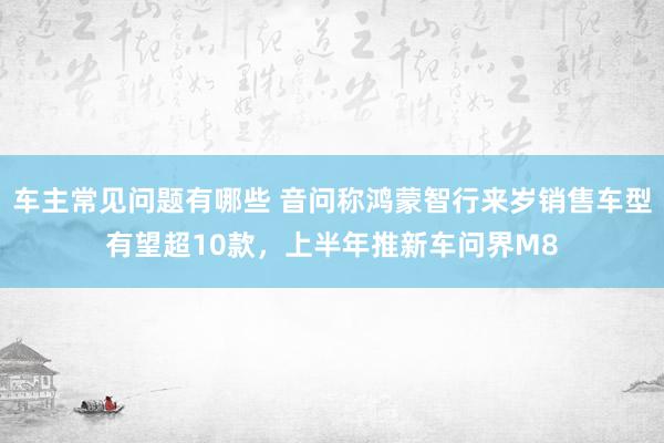 车主常见问题有哪些 音问称鸿蒙智行来岁销售车型有望超10款，上半年推新车问界M8