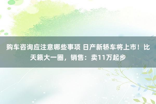 购车咨询应注意哪些事项 日产新轿车将上市！比天籁大一圈，销售：卖11万起步