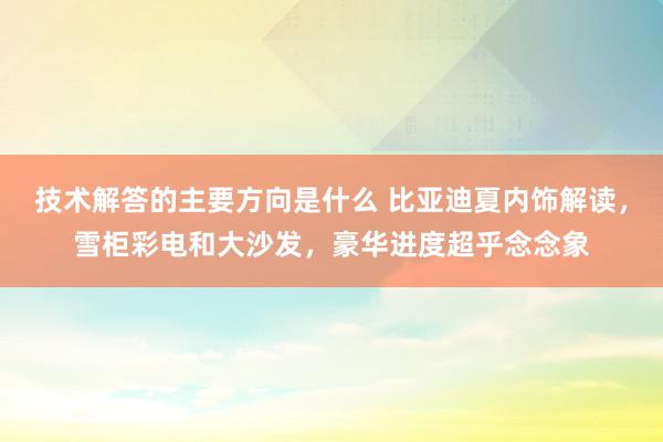 技术解答的主要方向是什么 比亚迪夏内饰解读，雪柜彩电和大沙发，豪华进度超乎念念象