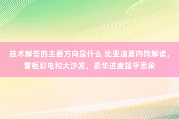 技术解答的主要方向是什么 比亚迪夏内饰解读，雪柜彩电和大沙发，豪华进度超乎思象