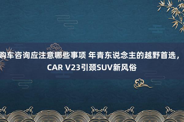 购车咨询应注意哪些事项 年青东说念主的越野首选，iCAR V23引颈SUV新风俗