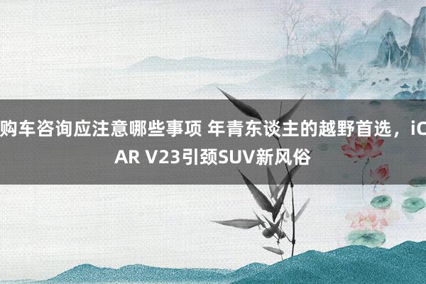 购车咨询应注意哪些事项 年青东谈主的越野首选，iCAR V23引颈SUV新风俗