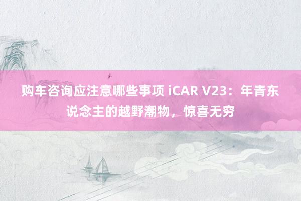 购车咨询应注意哪些事项 iCAR V23：年青东说念主的越野潮物，惊喜无穷