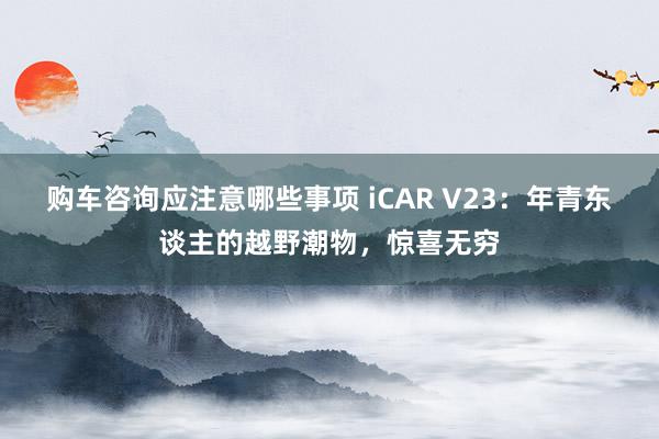 购车咨询应注意哪些事项 iCAR V23：年青东谈主的越野潮物，惊喜无穷