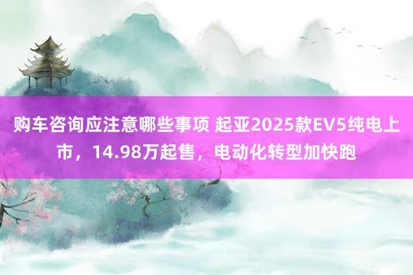 购车咨询应注意哪些事项 起亚2025款EV5纯电上市，14.98万起售，电动化转型加快跑