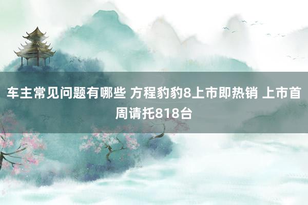 车主常见问题有哪些 方程豹豹8上市即热销 上市首周请托818台