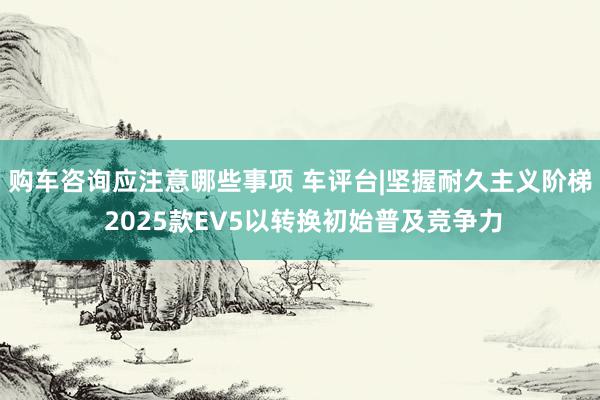 购车咨询应注意哪些事项 车评台|坚握耐久主义阶梯 2025款EV5以转换初始普及竞争力