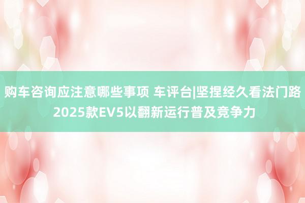 购车咨询应注意哪些事项 车评台|坚捏经久看法门路 2025款EV5以翻新运行普及竞争力