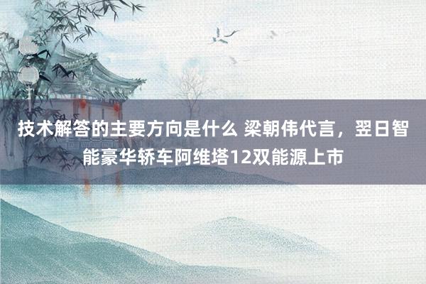 技术解答的主要方向是什么 梁朝伟代言，翌日智能豪华轿车阿维塔12双能源上市