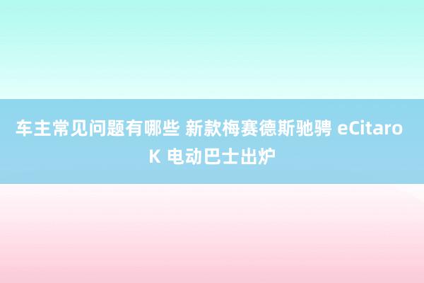 车主常见问题有哪些 新款梅赛德斯驰骋 eCitaro K 电动巴士出炉