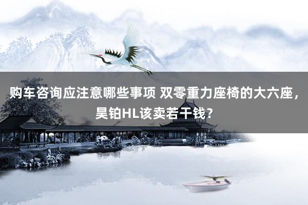 购车咨询应注意哪些事项 双零重力座椅的大六座，昊铂HL该卖若干钱？