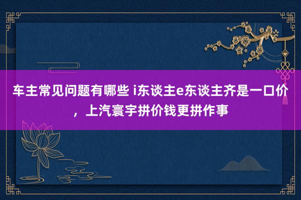 车主常见问题有哪些 i东谈主e东谈主齐是一口价，上汽寰宇拼价钱更拼作事