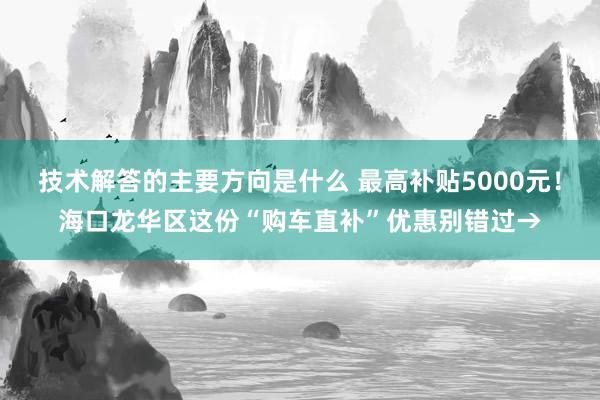 技术解答的主要方向是什么 最高补贴5000元！海口龙华区这份“购车直补”优惠别错过→