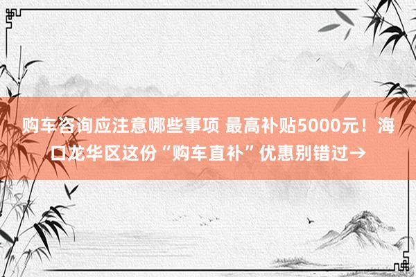 购车咨询应注意哪些事项 最高补贴5000元！海口龙华区这份“购车直补”优惠别错过→