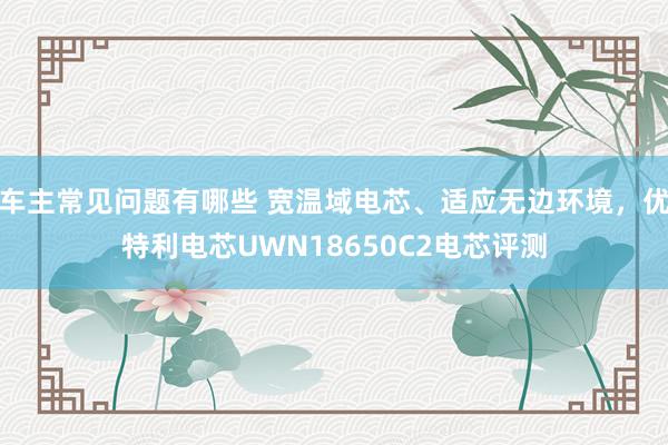 车主常见问题有哪些 宽温域电芯、适应无边环境，优特利电芯UWN18650C2电芯评测