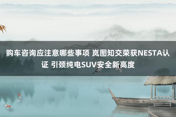 购车咨询应注意哪些事项 岚图知交荣获NESTA认证 引颈纯电SUV安全新高度