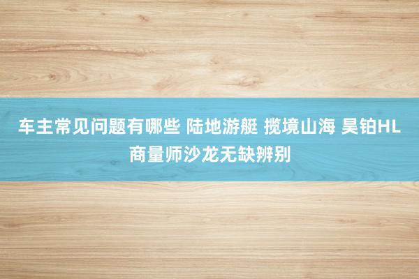 车主常见问题有哪些 陆地游艇 揽境山海 昊铂HL商量师沙龙无缺辨别