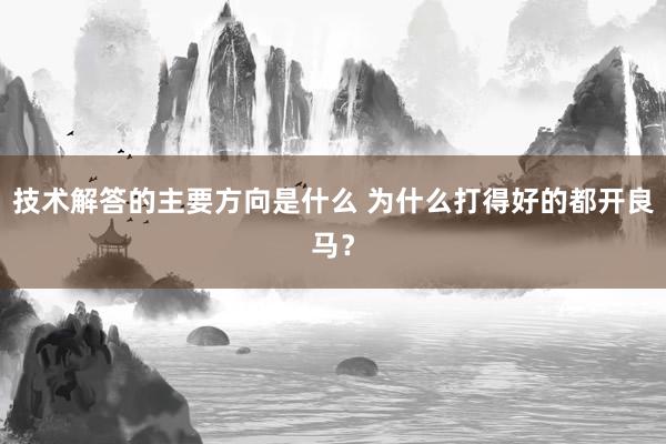 技术解答的主要方向是什么 为什么打得好的都开良马？