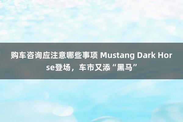 购车咨询应注意哪些事项 Mustang Dark Horse登场，车市又添“黑马”