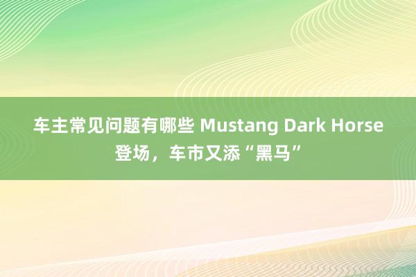 车主常见问题有哪些 Mustang Dark Horse登场，车市又添“黑马”