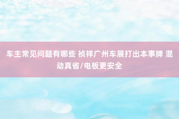 车主常见问题有哪些 祯祥广州车展打出本事牌 混动真省/电板更安全