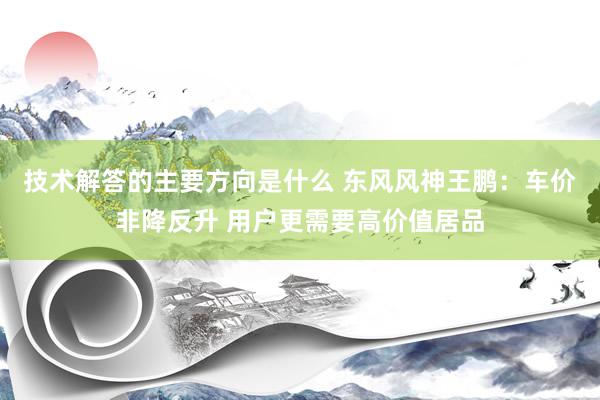 技术解答的主要方向是什么 东风风神王鹏：车价非降反升 用户更需要高价值居品