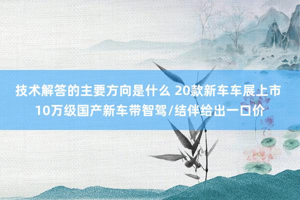 技术解答的主要方向是什么 20款新车车展上市 10万级国产新车带智驾/结伴给出一口价