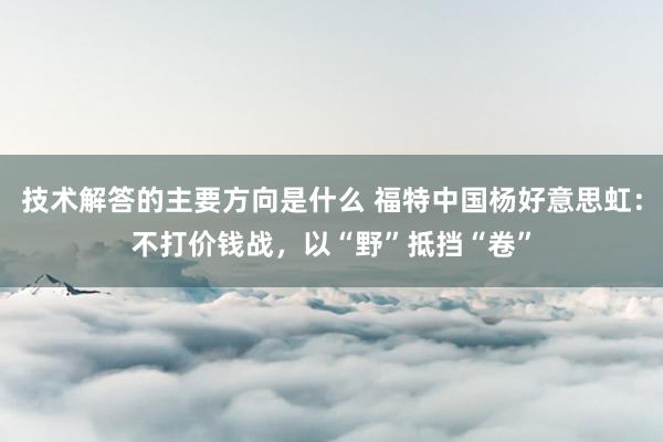 技术解答的主要方向是什么 福特中国杨好意思虹：不打价钱战，以“野”抵挡“卷”