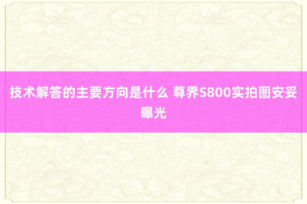 技术解答的主要方向是什么 尊界S800实拍图安妥曝光