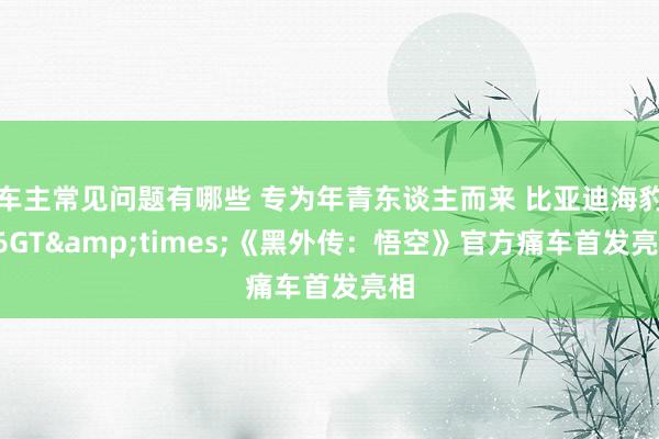 车主常见问题有哪些 专为年青东谈主而来 比亚迪海豹06GT&times;《黑外传：悟空》官方痛车首发亮相