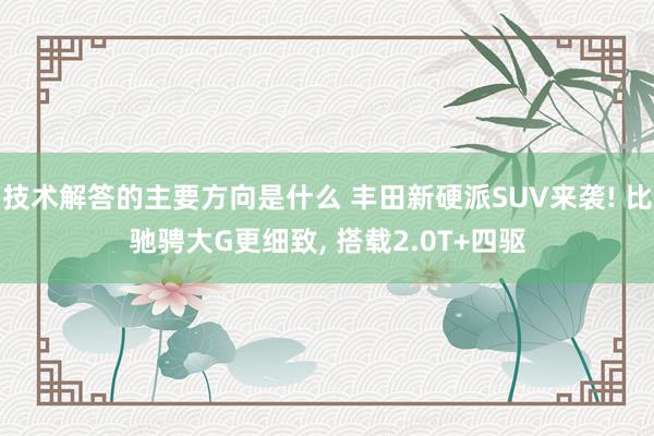 技术解答的主要方向是什么 丰田新硬派SUV来袭! 比驰骋大G更细致, 搭载2.0T+四驱