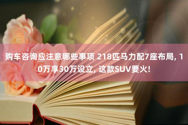 购车咨询应注意哪些事项 218匹马力配7座布局, 10万享30万设立, 这款SUV要火!