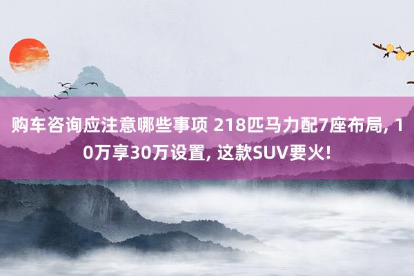 购车咨询应注意哪些事项 218匹马力配7座布局, 10万享30万设置, 这款SUV要火!