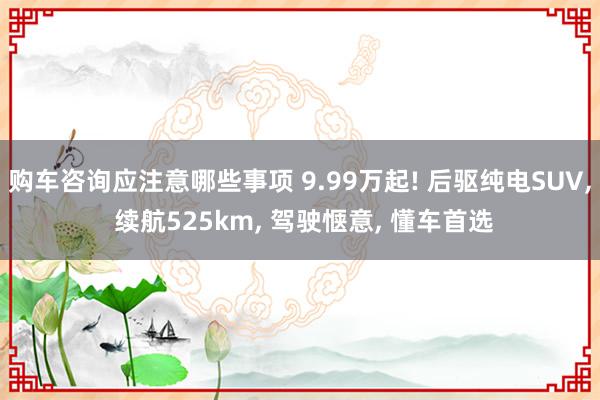 购车咨询应注意哪些事项 9.99万起! 后驱纯电SUV, 续航525km, 驾驶惬意, 懂车首选