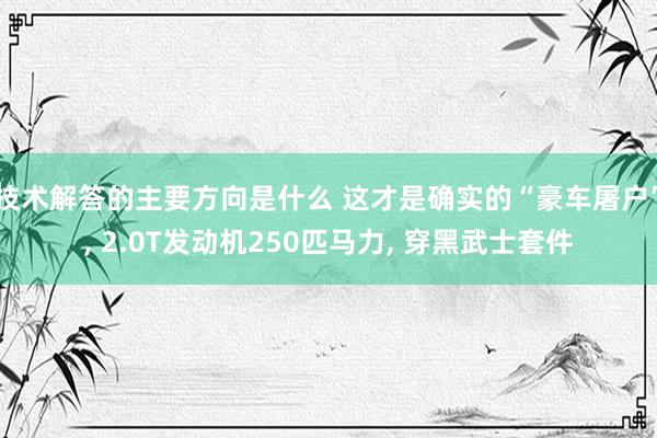 技术解答的主要方向是什么 这才是确实的“豪车屠户”, 2.0T发动机250匹马力, 穿黑武士套件