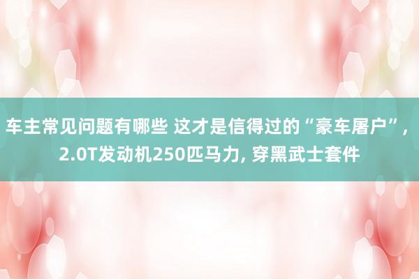 车主常见问题有哪些 这才是信得过的“豪车屠户”, 2.0T发动机250匹马力, 穿黑武士套件