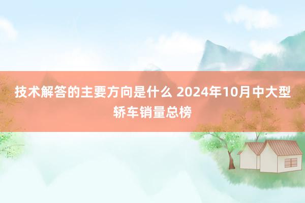 技术解答的主要方向是什么 2024年10月中大型轿车销量总榜