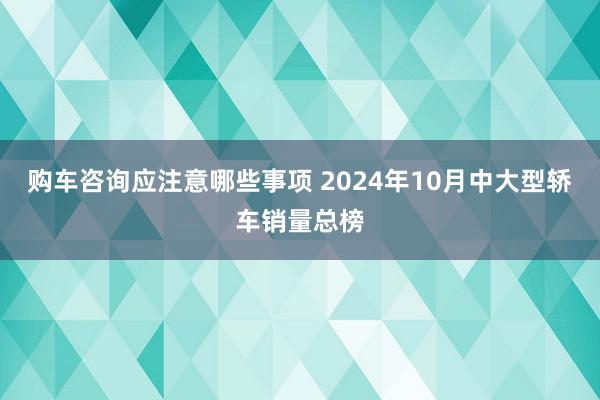 购车咨询应注意哪些事项 2024年10月中大型轿车销量总榜