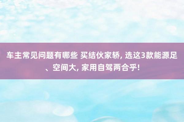 车主常见问题有哪些 买结伙家轿, 选这3款能源足、空间大, 家用自驾两合乎!