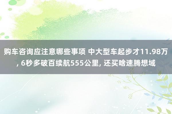 购车咨询应注意哪些事项 中大型车起步才11.98万, 6秒多破百续航555公里, 还买啥速腾想域