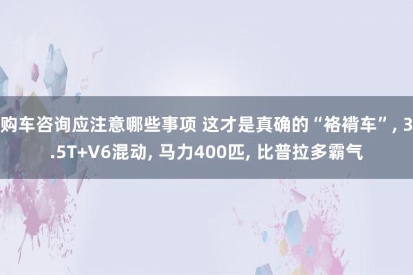 购车咨询应注意哪些事项 这才是真确的“袼褙车”, 3.5T+V6混动, 马力400匹, 比普拉多霸气