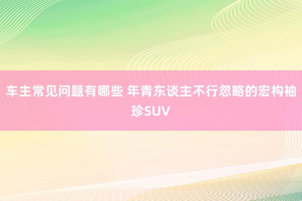 车主常见问题有哪些 年青东谈主不行忽略的宏构袖珍SUV